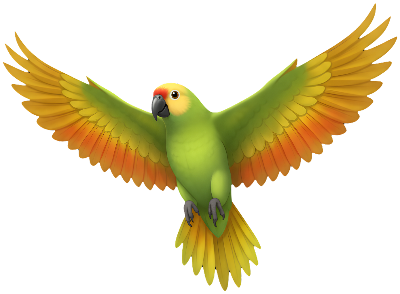 Parrot with its wings outstretched